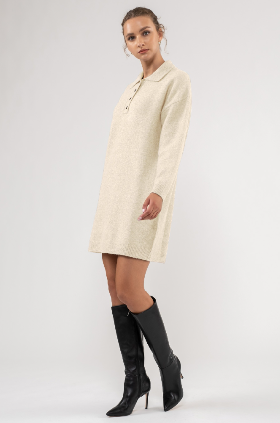 Rayna Collared Mini Sweater Dress