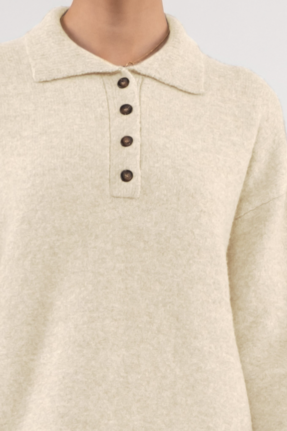 Rayna Collared Mini Sweater Dress