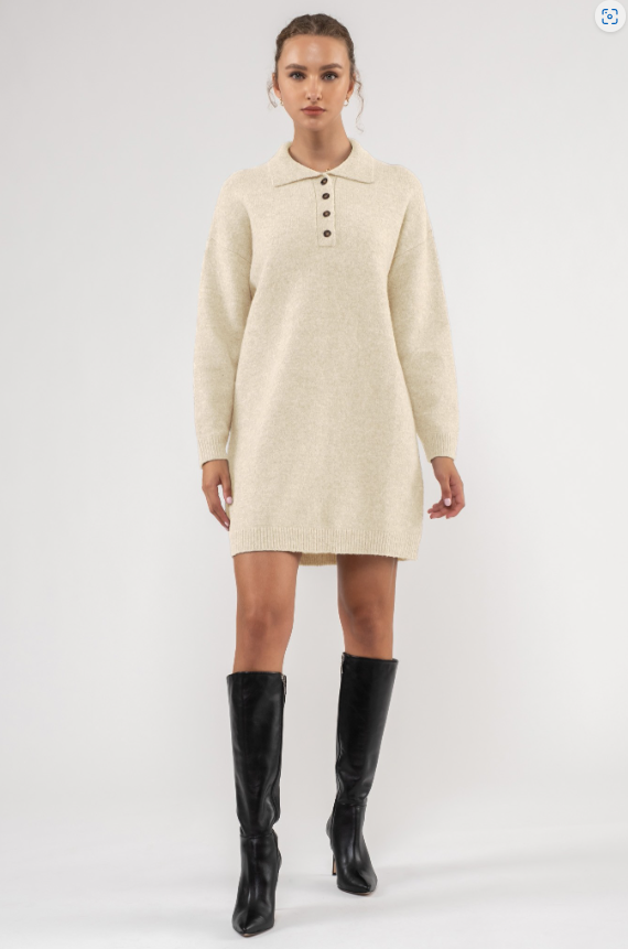 Rayna Collared Mini Sweater Dress