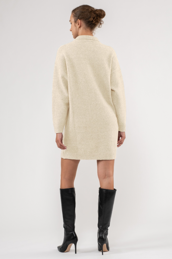 Rayna Collared Mini Sweater Dress