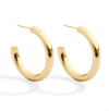 The Perfect Hoop Earrings